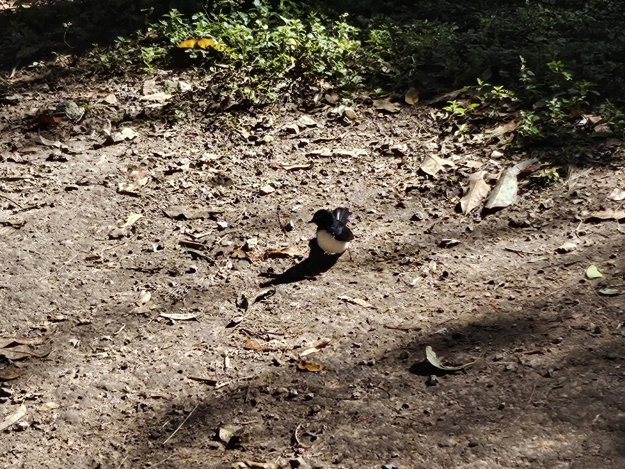 Enjoying nature!